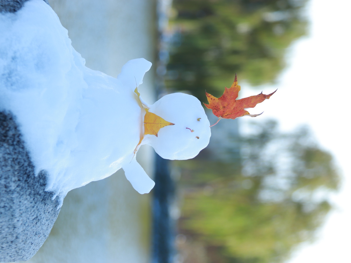 北京初雪一起堆雪人啊好看的皮囊千篇一律有趣的灵魂万里挑一