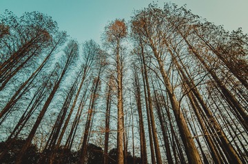 _DSC8119