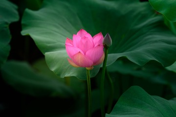 _DSC7682