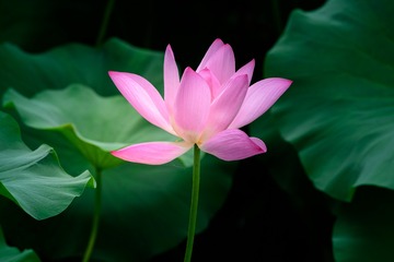 _DSC7672