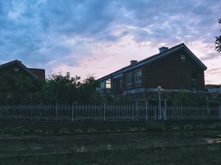 1316411