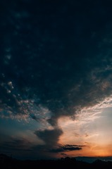 1000020930