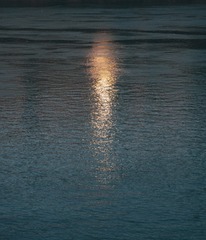 1000032661