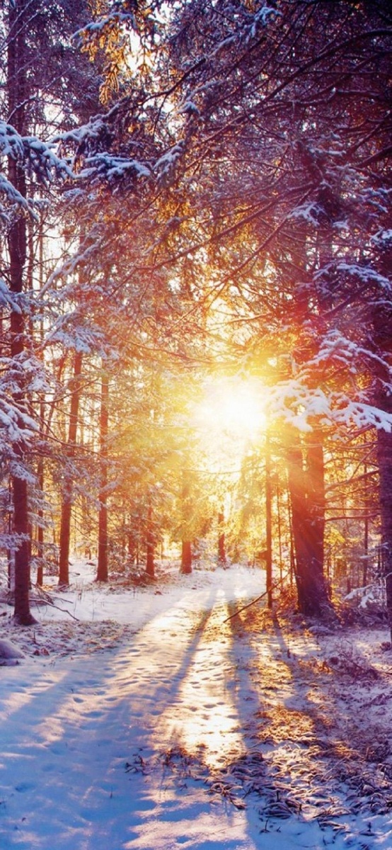 美好的一天美好的时光美好的早晨