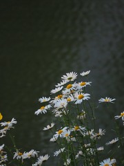 1000023576