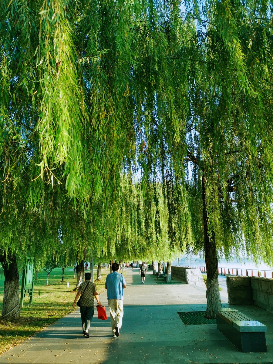 公园清晨