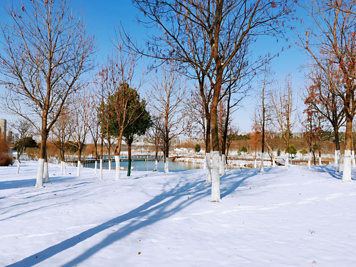 公园雪景