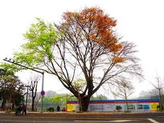 1970
