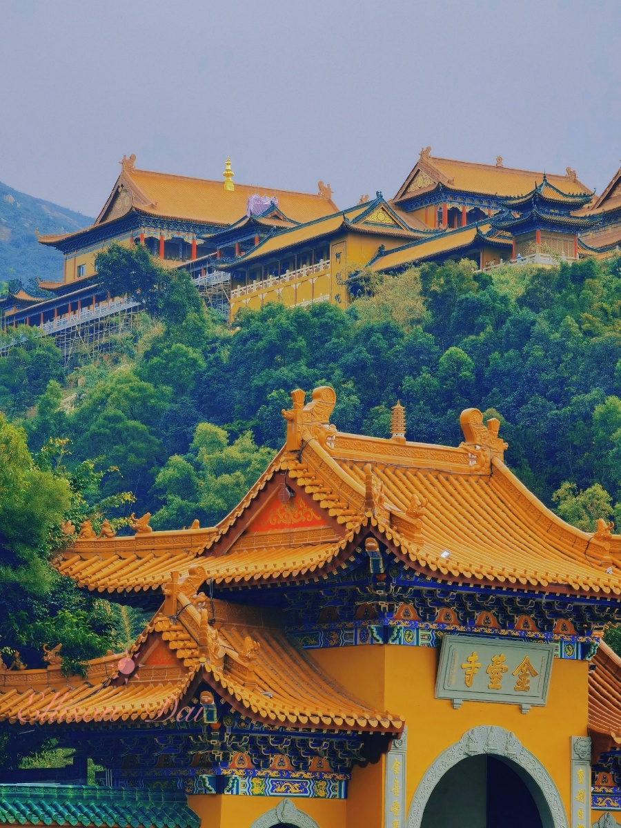 不染尘埃金台寺