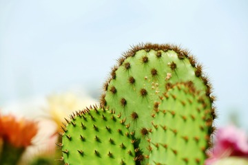135805
