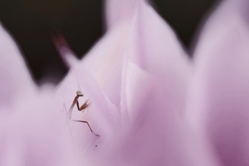 132201