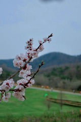 0F25916B-1A33-41CB-AD8D-AC0FEFB9F5D2/L0/001