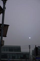 0B5D5119-F056-49A3-8A1E-543F65BB2545/L0/001