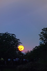 D54397CB-7A67-4A1F-A1B5-BD33FFE19B2E/L0/001
