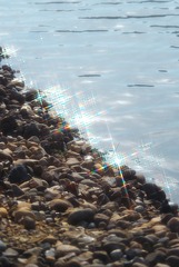 1000063083