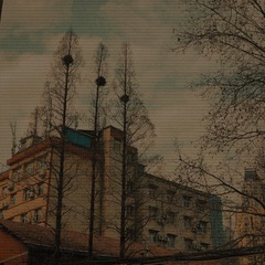 FD90581D-9357-486A-816C-67ACBFB00A70/L0/001