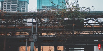 361581