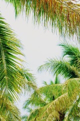 85C7B735-B60E-4427-9CCC-48DD9F6CA0AE/L0/001
