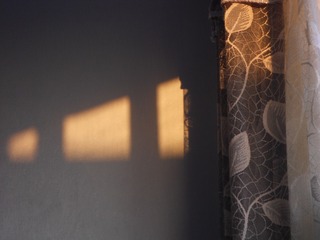 1182022