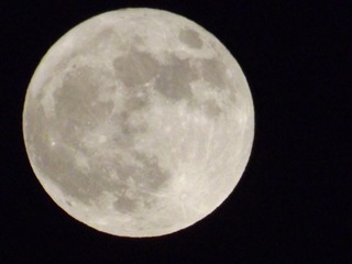 19B7481E-32F2-4C49-AA75-18E6D913032A/L0/001