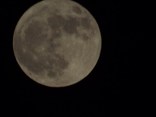 C4367E48-7D5E-43F9-8D2F-8A3EFD247E5E/L0/001