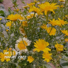 354FAEFC-3854-4578-B46F-3BFB70E4DB1A/L0/001