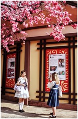 F50AA071-5C49-4C0B-BD31-BA28C1D336A4/L0/001