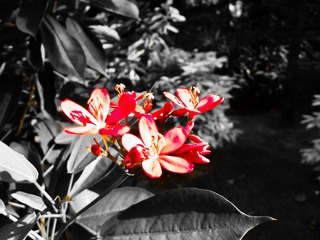 0B480682-88D9-4B9C-91D9-931AEB7CF71D/L0/001