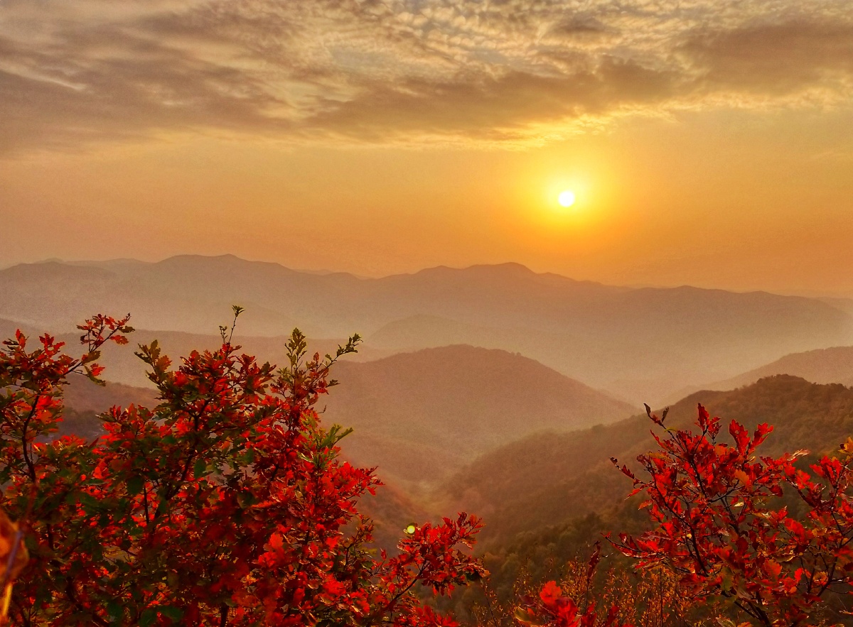 日出东方暖万物太行红叶缀秋色