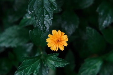 D259265E-9DFC-4188-B151-996DB4BFC8CD/L0/001