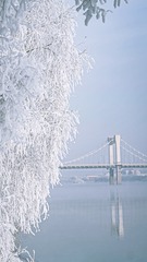 A6F09C6D-DD76-4D1B-A209-FD8200D433D4/L0/001