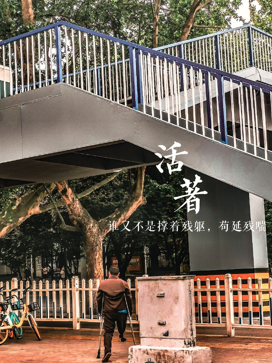 这世间活着已是不易了