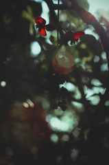 139