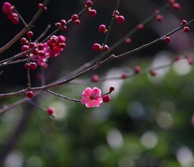 001