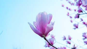 0CB24B16-54DC-4078-9EC3-C9B5DD714F50/L0/001