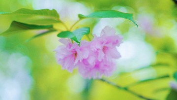A4B78C79-6780-44B6-85B5-04DF89E4330D/L0/001