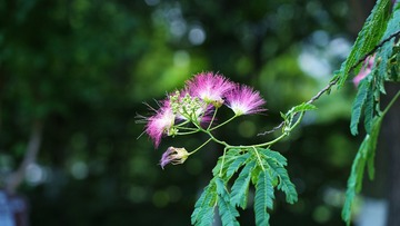B599B7AE-09D0-4DE5-BD6B-66F1D324FCBF/L0/001