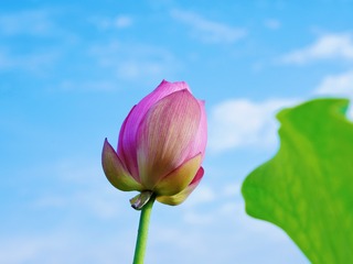 C12BD4BB-7AF5-48FA-B8B0-58F83515D892/L0/001