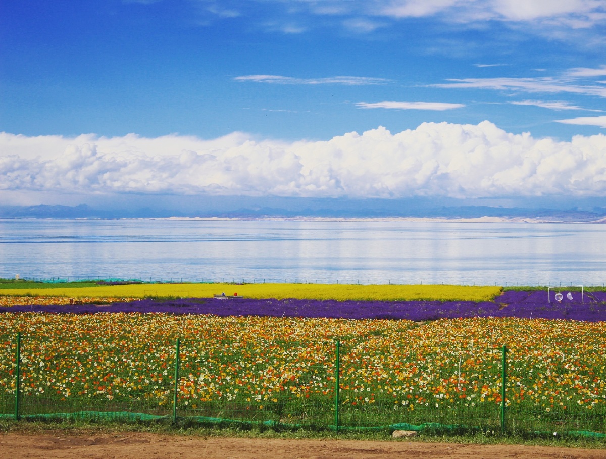 大自然充满了一种使人心平气和的美与力.