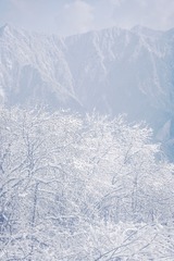 0791692A-718C-451E-A5F0-0D6D29CD20F0/L0/001