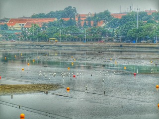D268F4C9-5626-4550-91C2-40372D516AC5/L0/001