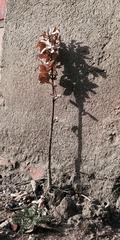 1807359