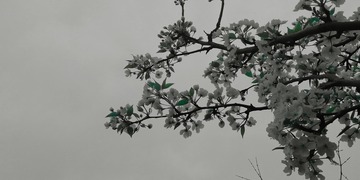 1821760
