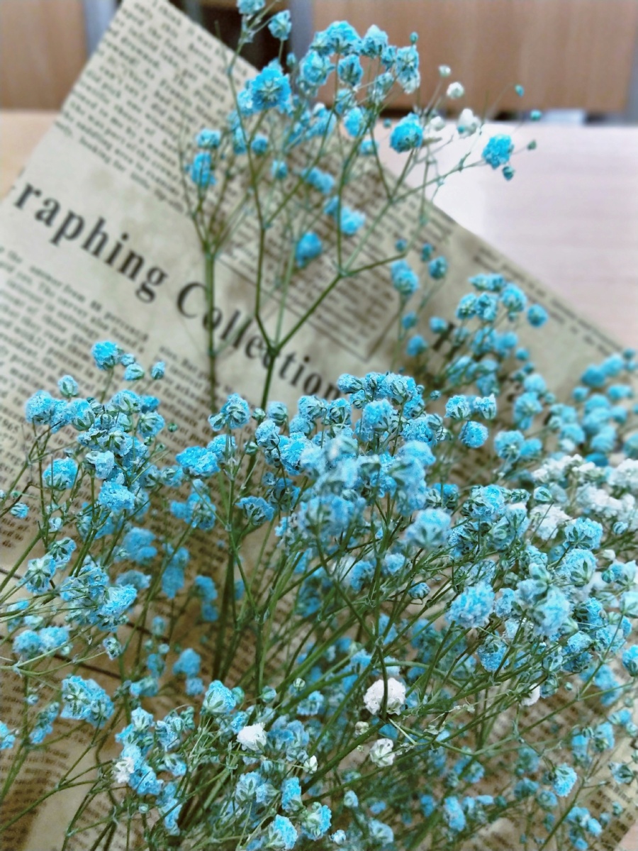 满天星满眼都是你容我弱弱的问一句那个你在哪里啥时候出现啊