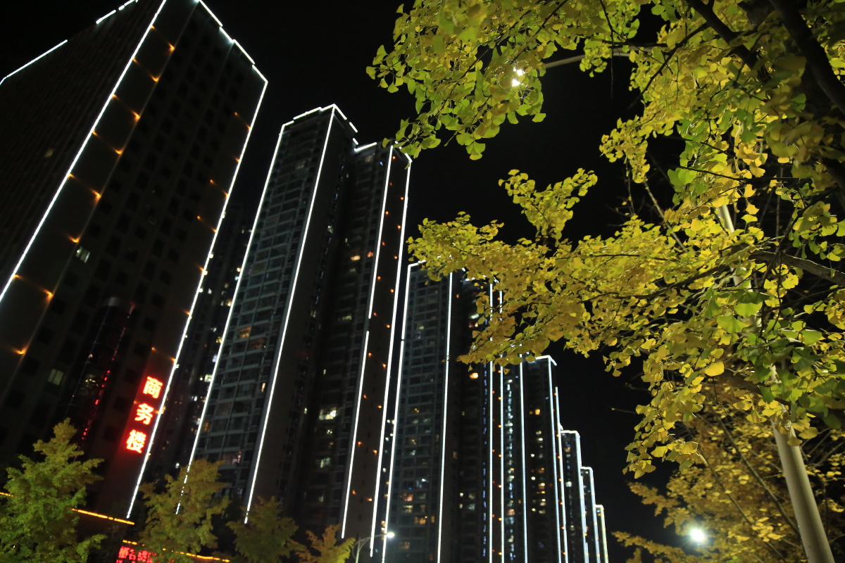 十堰北京路夜色