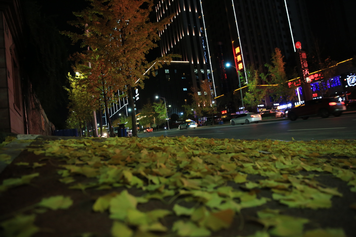 十堰北京路夜色