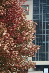 IMG_9757