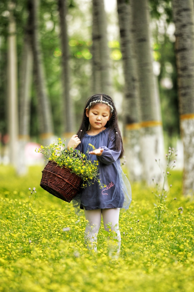 路边林地开满了不知名的小花小女孩在林间尽情的玩耍天真烂漫的画面油