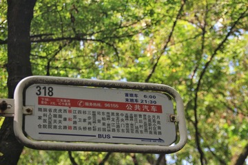 19048
