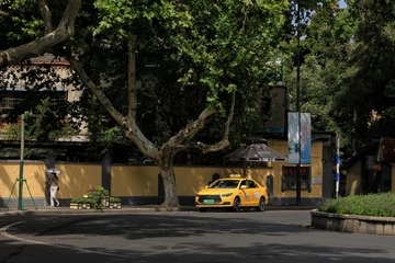19052